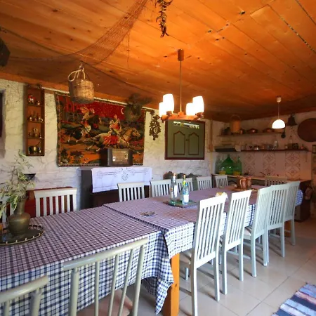 Tenedos By Travelpro Services Halkidiki Nea Tenedhos