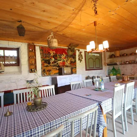 Tenedos By Travelpro Services Halkidiki Landsted Nea Tenedhos